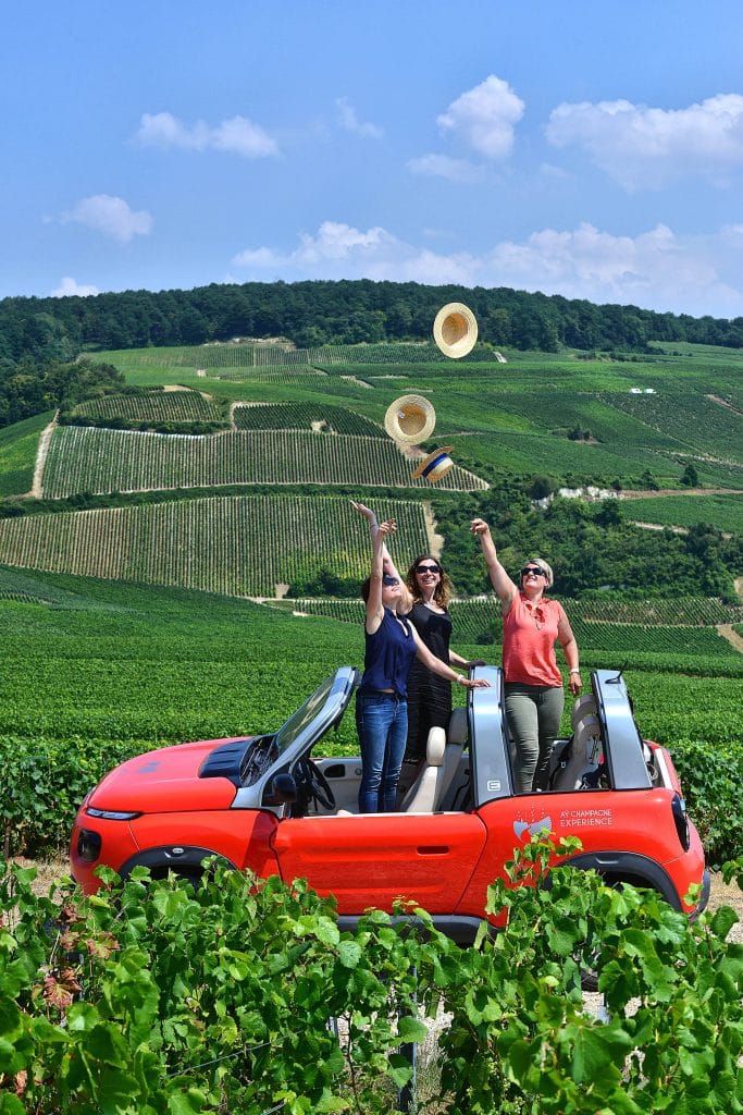 Private and small group guided tours in Champagne