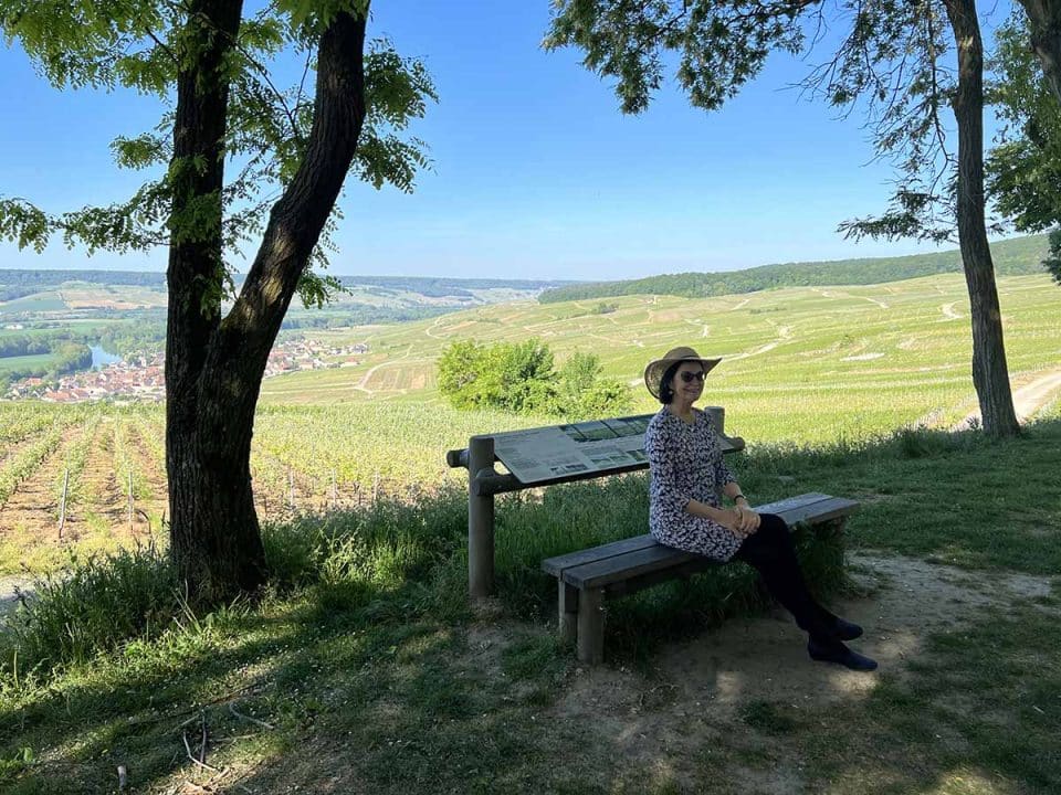 Amazing panoramic view of the famous vineyard in Champagne, Vue panoramique des célèbres vignes de Champagne