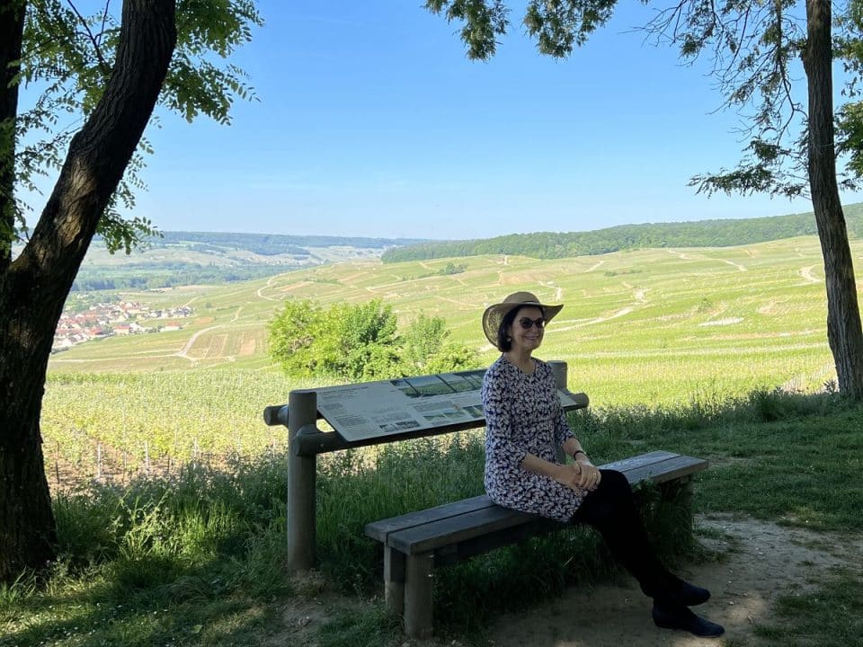 Amazing and famous view over the vineyard, Célèbre et incroyable vue sur les vignes