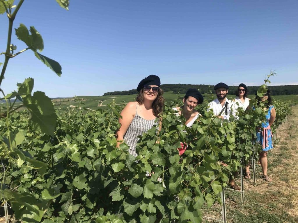 Tour in the classified UNESCO Champagne vineyard, Tour dans les vignes classées au patrimoine de l'UNESCO en Champagne