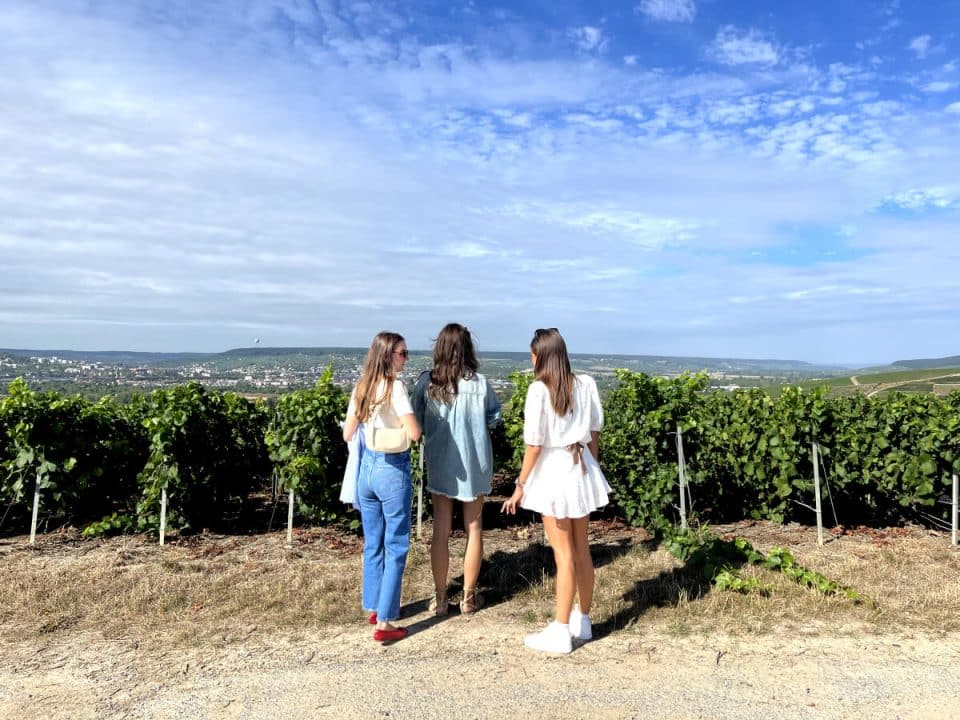 Private tour of the Champagne Must sees, Tour privée des Incontournables de Champagne