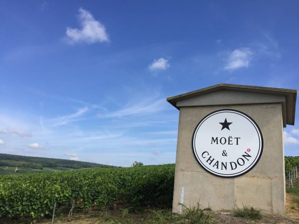 Vineyard of the famous Champagne House of Moet et Chandon near Epernay, Vignes de la célèbre Maison de Champagne Moët et Chandon près d'Epernay