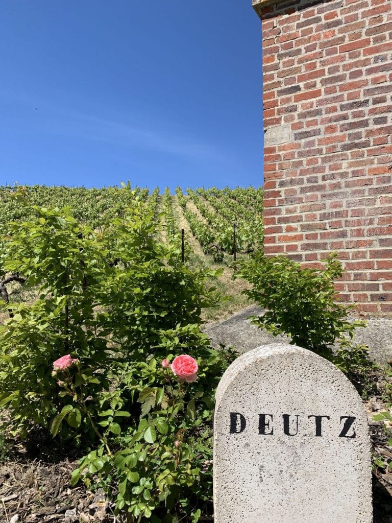 Vineyards of the famous Champagne House of Deutz, Vignoble de la célèbre Maison de Champage Deutz