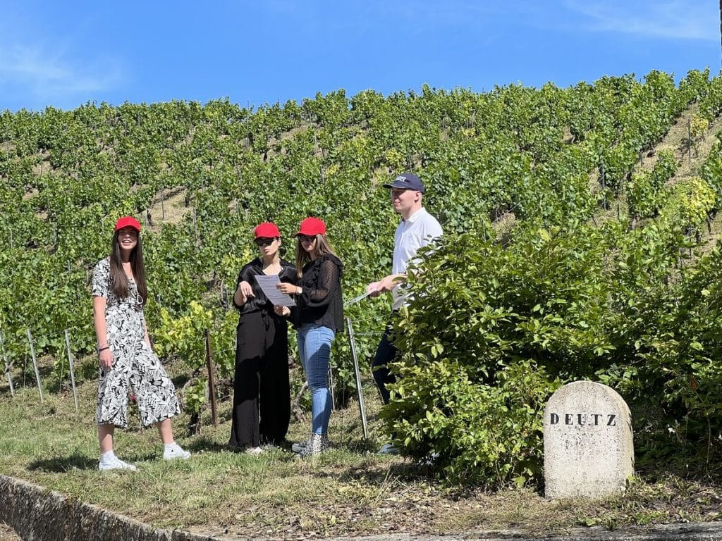 Team Building on the vineyards, Team Building dans les vignes