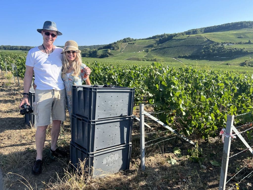 Immersive experience in the Champagne harvesting period, Expérience immersive pendant période de vendanges en Champagne