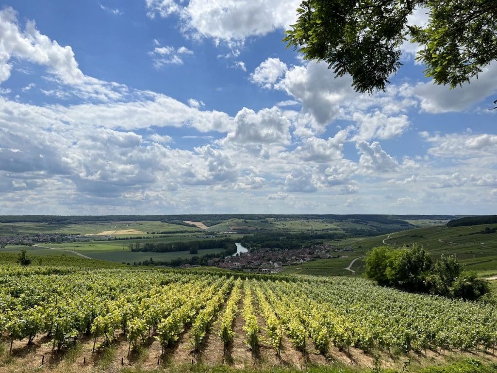 Tour in the nature of the Champagne region, Tour dans la nature de la Région champenoise