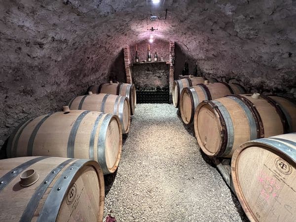 Cellar tour of independent winegrower in Champagne, Visite de cave de vignerons indépendants en Champagne
