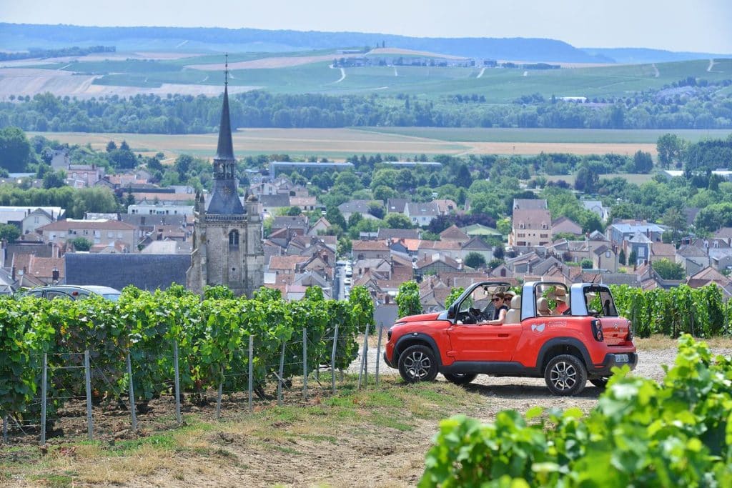 Visit of Champagne with passionated local guide, Visite de la Champagne avec un guide local passionné