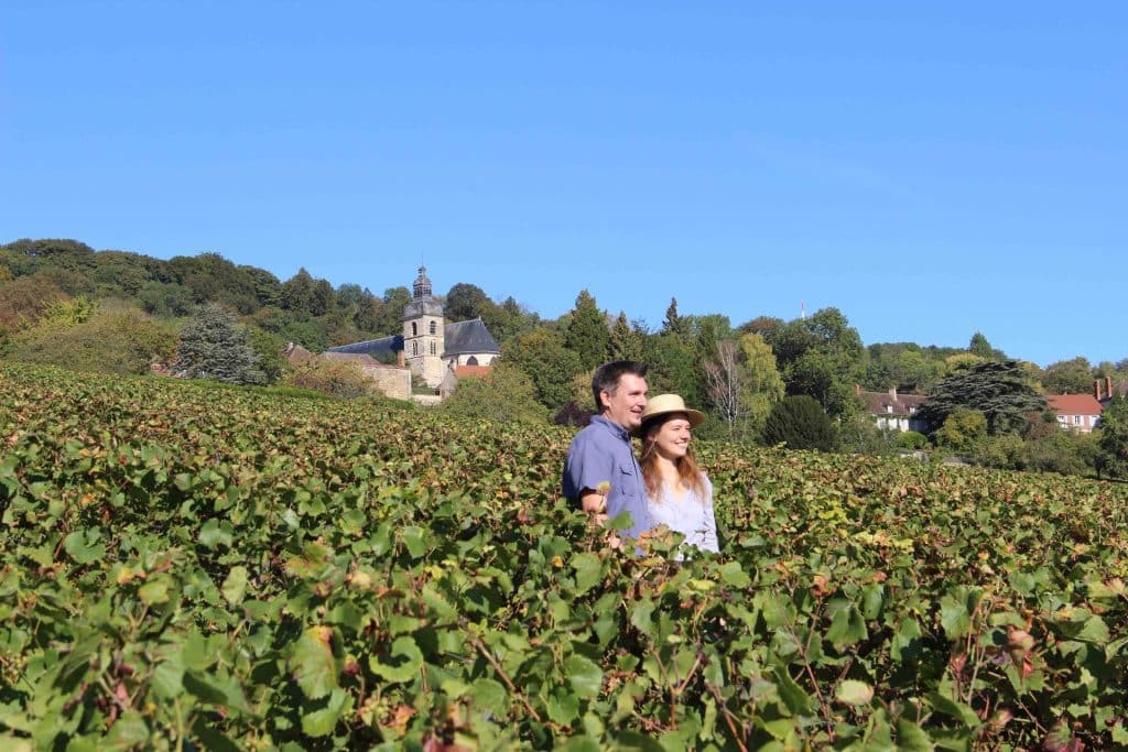 classified UNESCO Vineyard in Champagne, Vignoble classés à l'UNESCO en Champagne