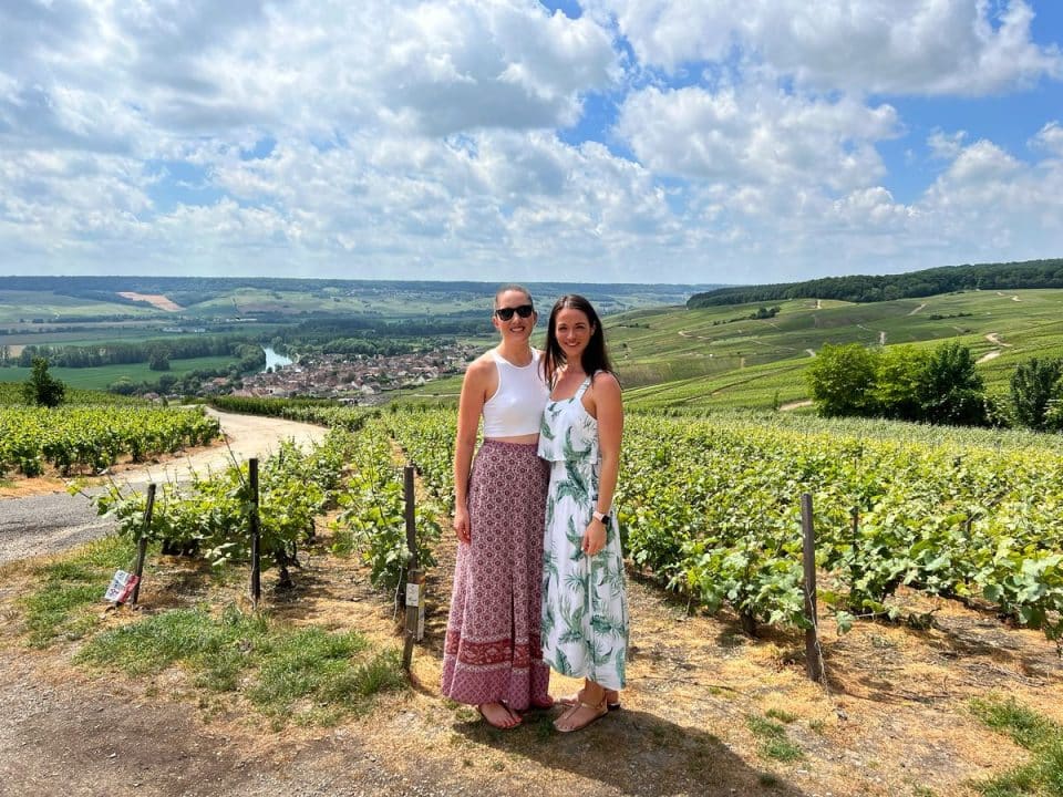 Most famous vineyard of Champagne, Le plus célèbre vignoble de Champagne