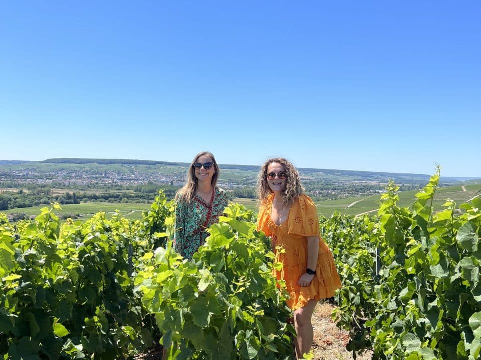 Champagne vineyard tour, Tour des vignobles de Champagne