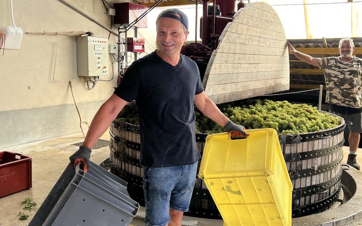 Harvesting period in Champagne Période de vendanges en Champagne