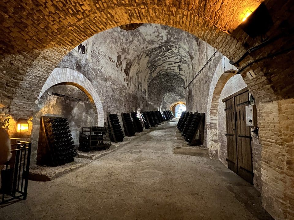 Tailor-made visit of Champagne cellar, Visite sur-mesure des caves de Champagne