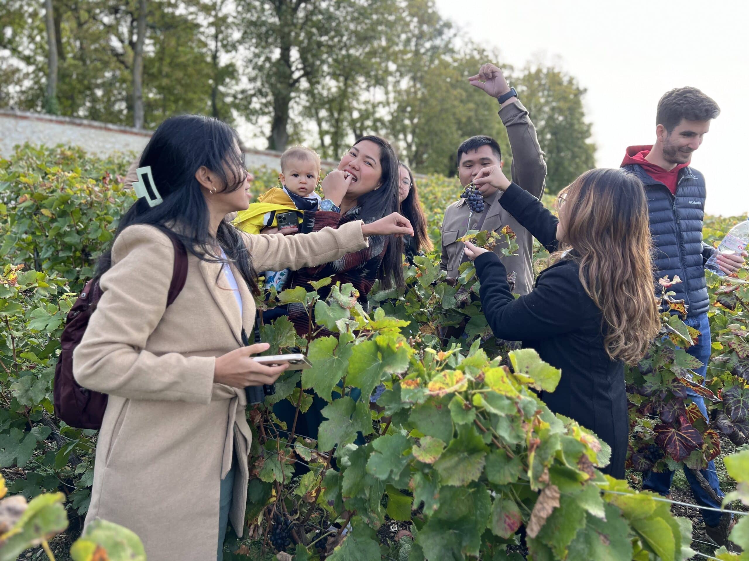 champagne guided tour